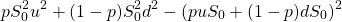 \[pS_0^2 u^2+(1-p) S_0^2 d^2-(puS_0+(1-p)dS_0 )^2 \]